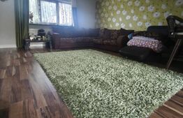 Casa + teren 2600mp, zona Horodnic de Sus, Radauti