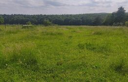 Casa + teren 2600mp, zona Horodnic de Sus, Radauti