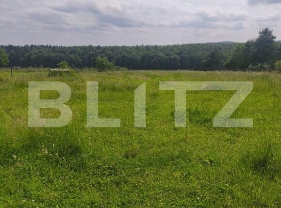 Casa de vânzare 4 camere Horodnic - 171931CV | BLITZ Suceava | Poza17