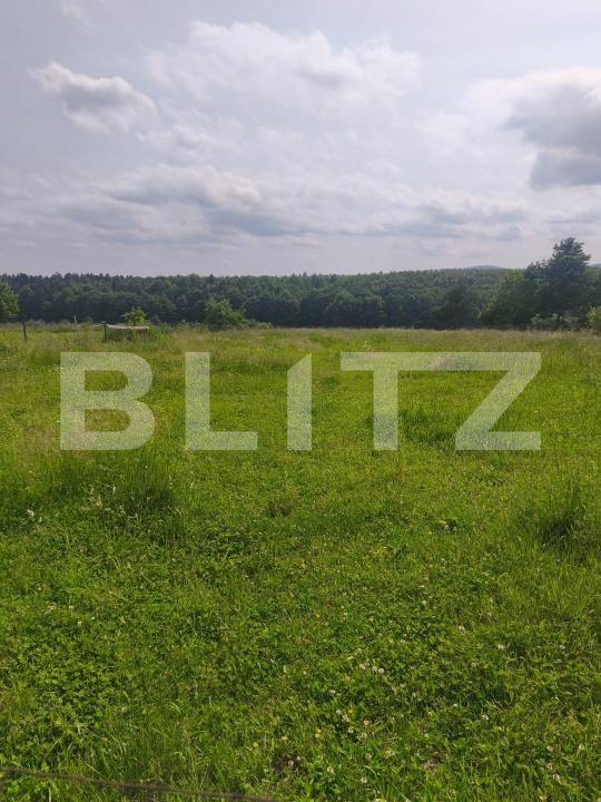 Casa de vânzare 4 camere Horodnic - 171931CV | BLITZ Suceava | Poza17