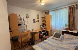 Apartament cu 2 camere, etaj intermediar, zona Centrala