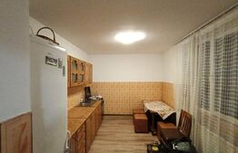 Vânzare apartament in casa duplex, Vatra Dornei 