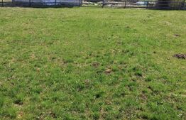 Teren intravilan în Vatra Dornei, 1299 mp