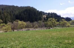 Teren intravilan în Vatra Dornei, 1299 mp