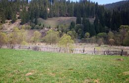 Teren intravilan în Vatra Dornei, 1299 mp