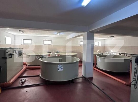 Spațiu comercial de vânzare Frasin - 172119SVC | BLITZ Suceava | Poza4