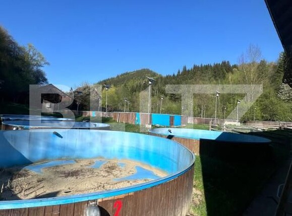 Spațiu comercial de vânzare Frasin - 172119SVC | BLITZ Suceava | Poza3