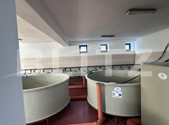 Spațiu comercial de vânzare Frasin - 172119SVC | BLITZ Suceava | Poza5