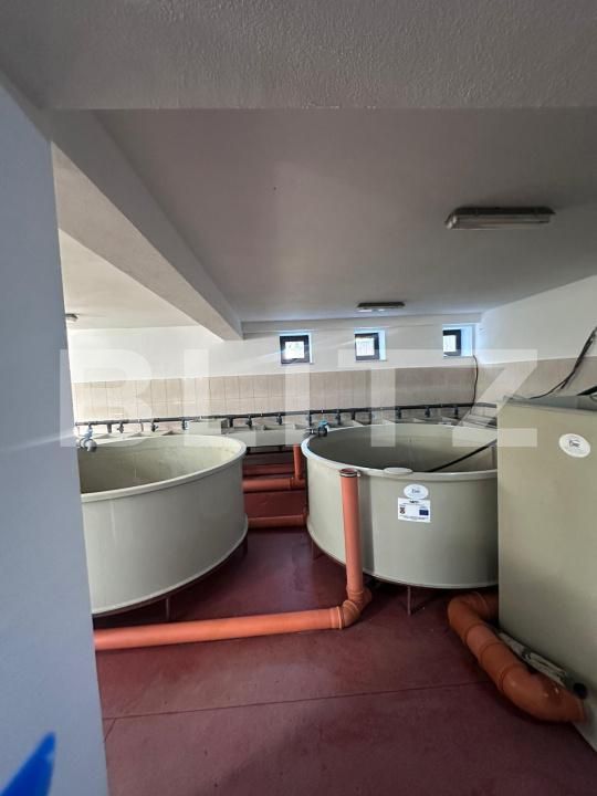 Spațiu comercial de vânzare Frasin - 172119SVC | BLITZ Suceava | Poza5