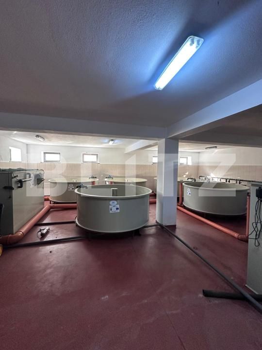 Spațiu comercial de vânzare Frasin - 172119SVC | BLITZ Suceava | Poza4