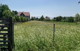 Teren intravilan ,2000 mp,Radauti