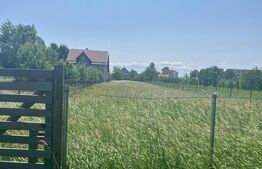 Teren intravilan ,2000 mp,Radauti