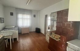 Oportunitate!!!  Casa individuala 150 mp, Plus casa la rosu 228 mp,Vicovu de Sus
