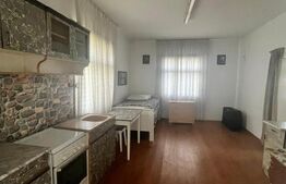 Oportunitate!!!  Casa individuala 150 mp, Plus casa la rosu 228 mp,Vicovu de Sus