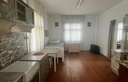 Oportunitate!!!  Casa individuala 150 mp, Plus casa la rosu 228 mp,Vicovu de Sus