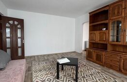 Apartament 2 camere, 50 mp, renovat complet, zona George Enescu