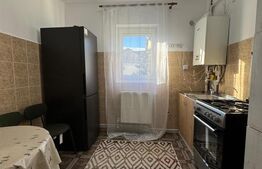 Apartament 2 camere, 50 mp, renovat complet, zona George Enescu