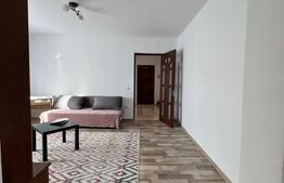 Apartament 2 camere, 50 mp, renovat complet, zona George Enescu