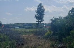 Teren generos,  intravilan, 13.518 mp, Marginea