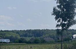 Teren generos,  intravilan, 13.518 mp, Marginea