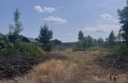 Teren generos,  intravilan, 13.518 mp, Marginea