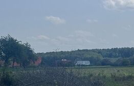 Teren generos,  intravilan, 13.518 mp, Marginea