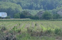 Teren generos,  intravilan, 13.518 mp, Marginea