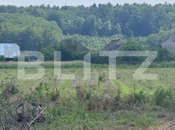 Teren de vânzare Marginea - 172252TV | BLITZ Suceava | Poza1
