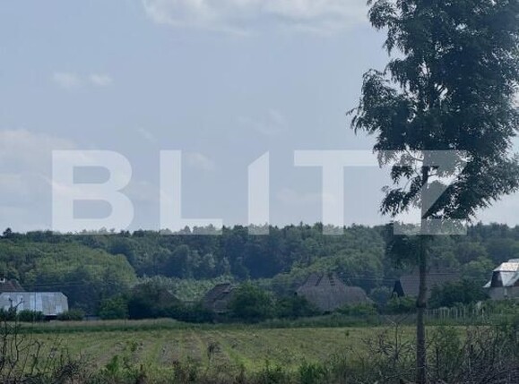 Teren de vânzare Marginea - 172252TV | BLITZ Suceava | Poza2