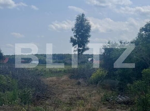 Teren de vânzare Marginea - 172252TV | BLITZ Suceava | Poza3