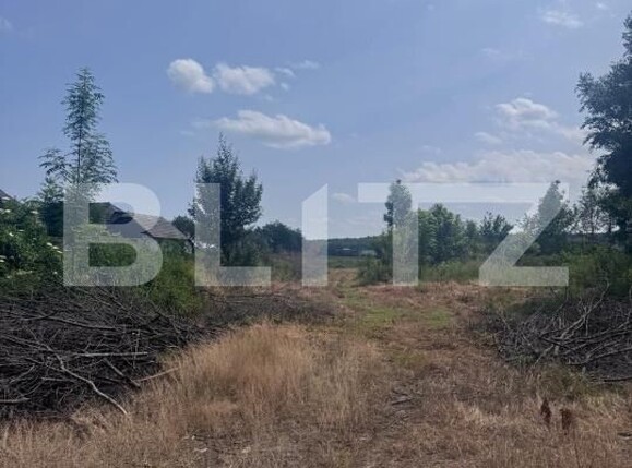 Teren de vânzare Marginea - 172252TV | BLITZ Suceava | Poza5