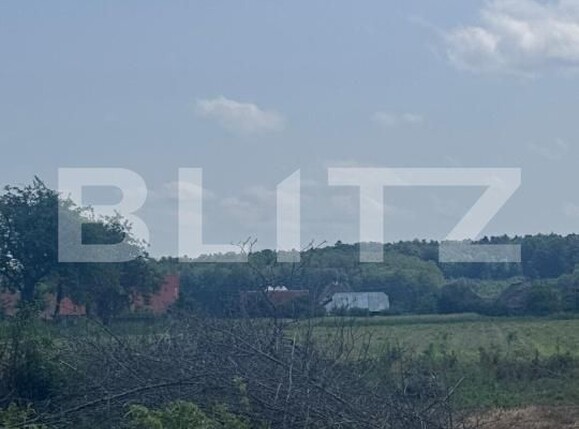 Teren de vânzare Marginea - 172252TV | BLITZ Suceava | Poza4