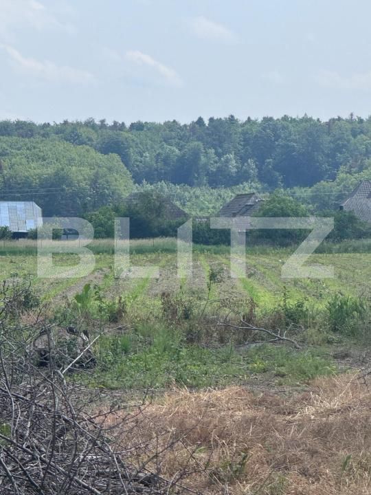 Teren de vânzare Marginea - 172252TV | BLITZ Suceava | Poza1