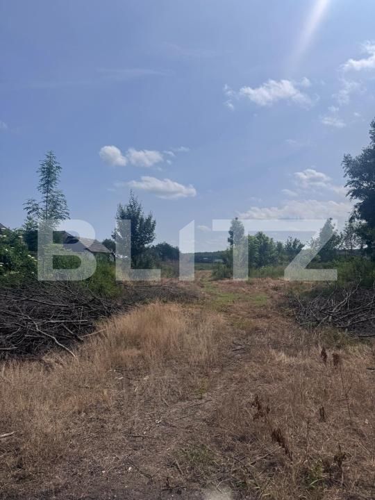 Teren de vânzare Marginea - 172252TV | BLITZ Suceava | Poza5
