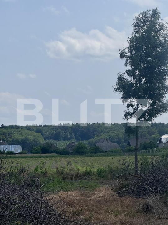 Teren de vânzare Marginea - 172252TV | BLITZ Suceava | Poza2