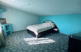 Casa individuala, teren 2500mp, Siret