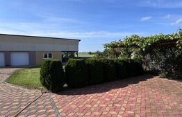 Casa individuala, teren 2500mp, Siret