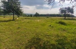 Casa+teren 5000mp, 70ml la DN 2E, zona Cacica, Radauti