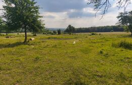 Casa+teren 5000mp, 70ml la DN 2E, zona Cacica, Radauti