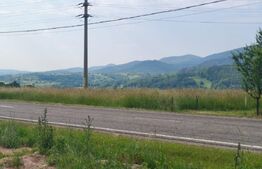 Casa+teren 5000mp, 70ml la DN 2E, zona Cacica, Radauti