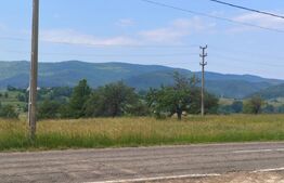 Casa+teren 5000mp, 70ml la DN 2E, zona Cacica, Radauti