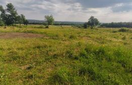 Casa+teren 5000mp, 70ml la DN 2E, zona Cacica, Radauti