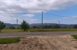 Casa+teren 5000mp, 70ml la DN 2E, zona Cacica, Radauti