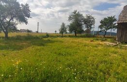 Casa+teren 5000mp, 70ml la DN 2E, zona Cacica, Radauti