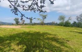 Casa+teren 5000mp, 70ml la DN 2E, zona Cacica, Radauti