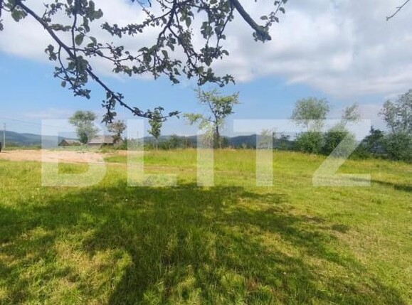 Casa de vânzare 3 camere Radauti - 172691CV | BLITZ Suceava | Poza10