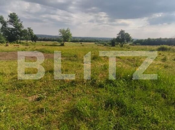 Casa de vânzare 3 camere Radauti - 172691CV | BLITZ Suceava | Poza8