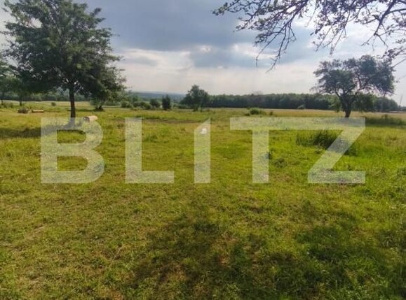 Casa de vânzare 3 camere Radauti - 172691CV | BLITZ Suceava | Poza1