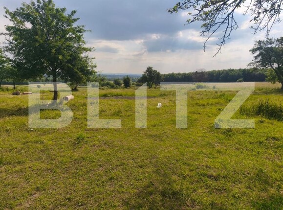 Casa de vânzare 3 camere Radauti - 172691CV | BLITZ Suceava | Poza9