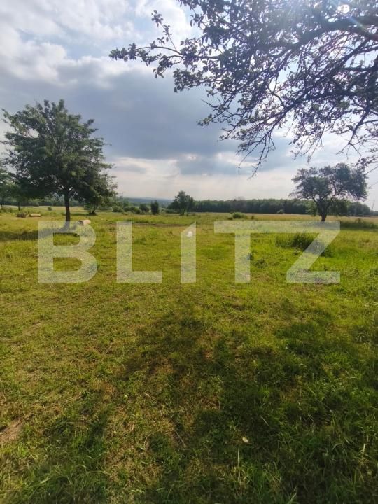 Casa de vânzare 3 camere Radauti - 172691CV | BLITZ Suceava | Poza3